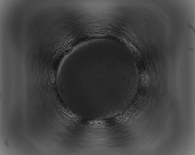 X0000097490517200803201533