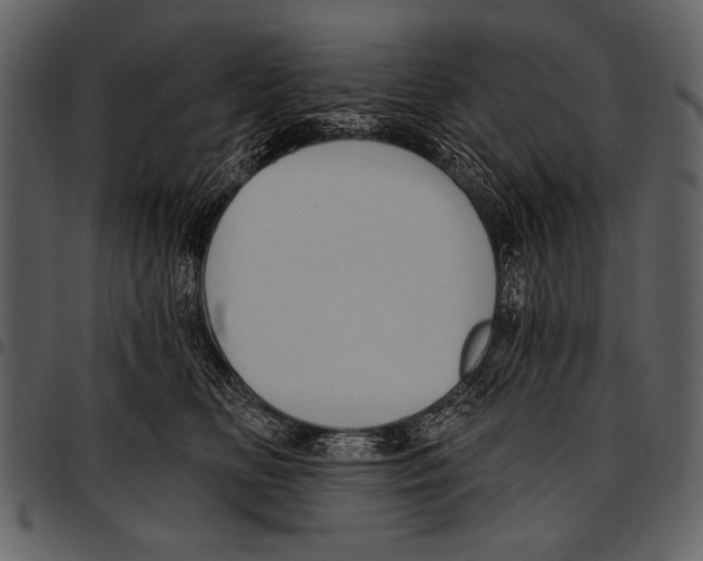 X0000097490518200803201533