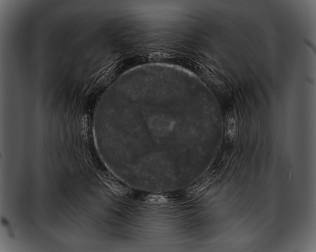 X0000097490519200803201533