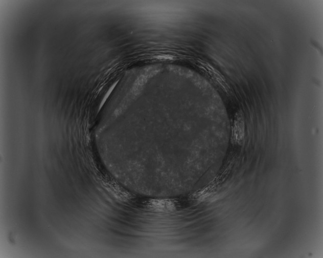 X0000097490520200803201533