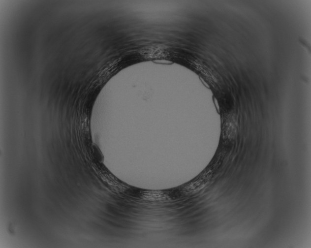 X0000097490521200803201533