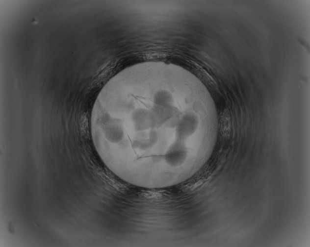 X0000097490523200803201533