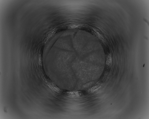 X0000097490524200803201533