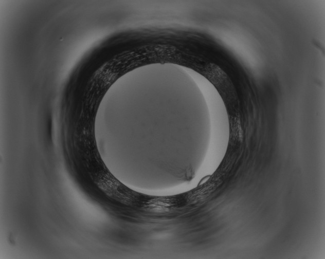 X0000097490526200803201533