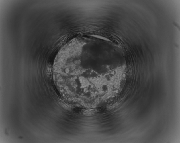 X0000097490527200803201533