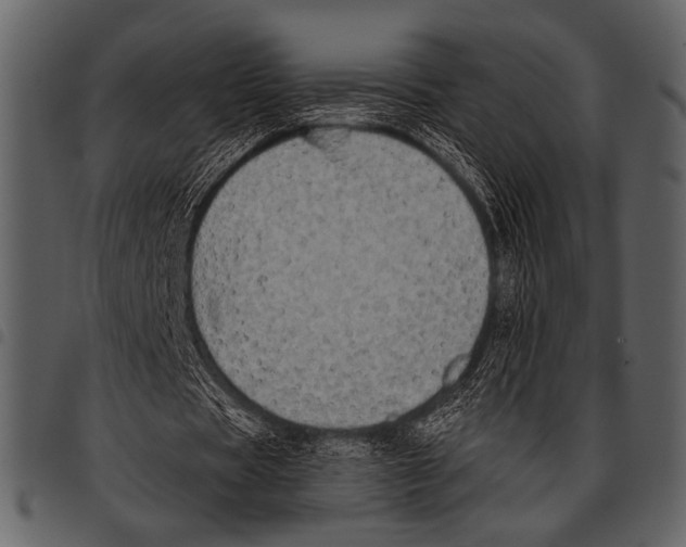 X0000097490529200803201533