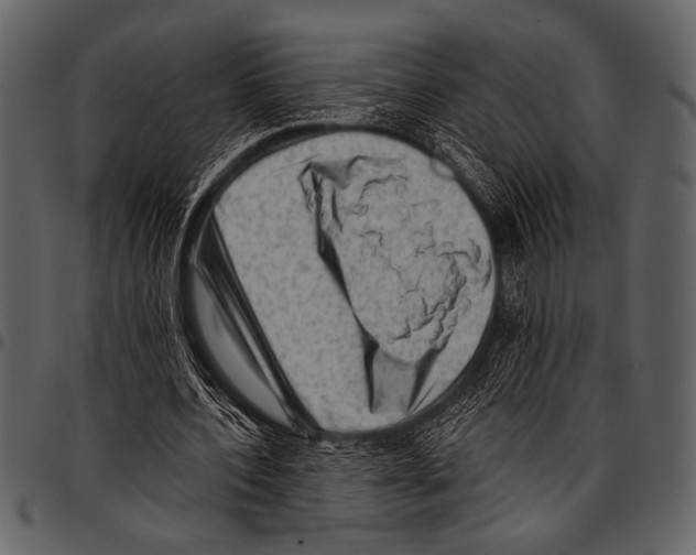 X0000097490532200803201533