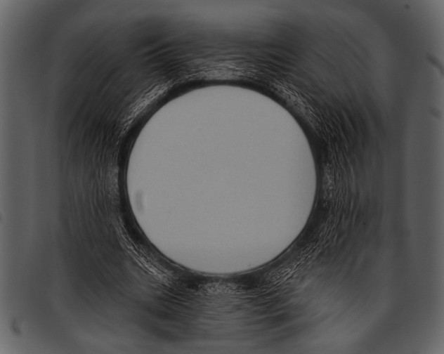 X0000097490535200803201533