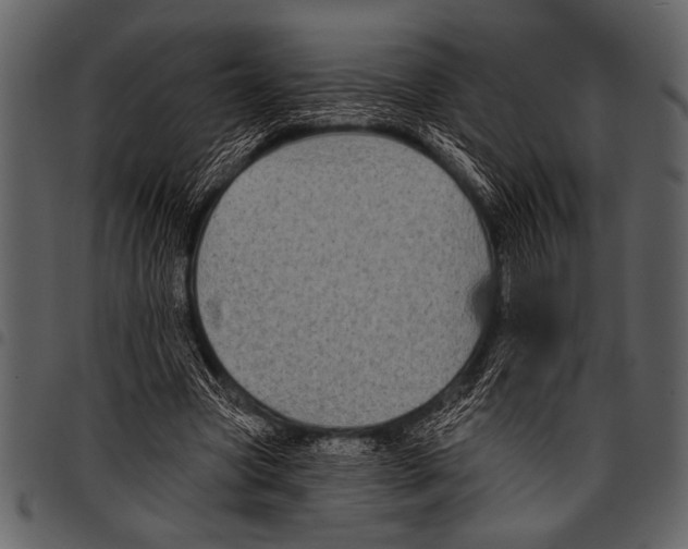 X0000097490537200803201533