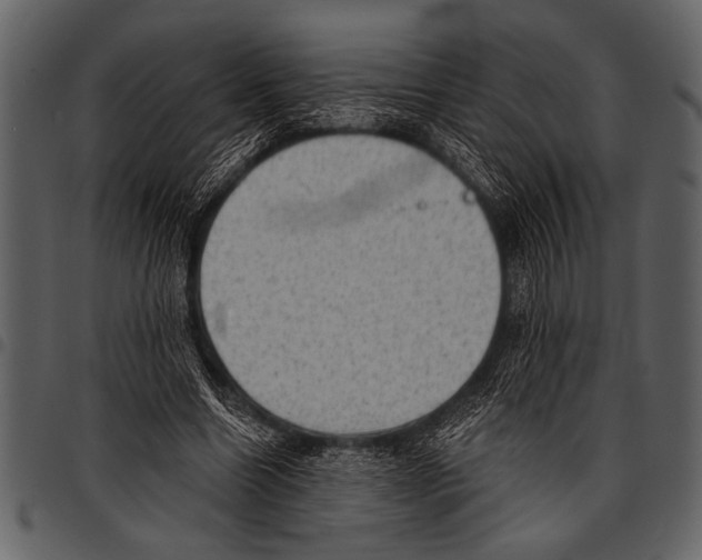 X0000097490538200803201533