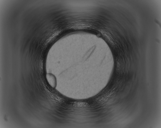 X0000097490539200803201533