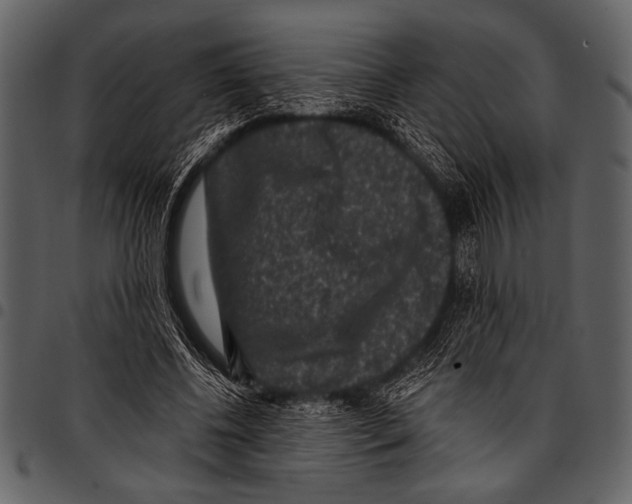 X0000097490540200803201533