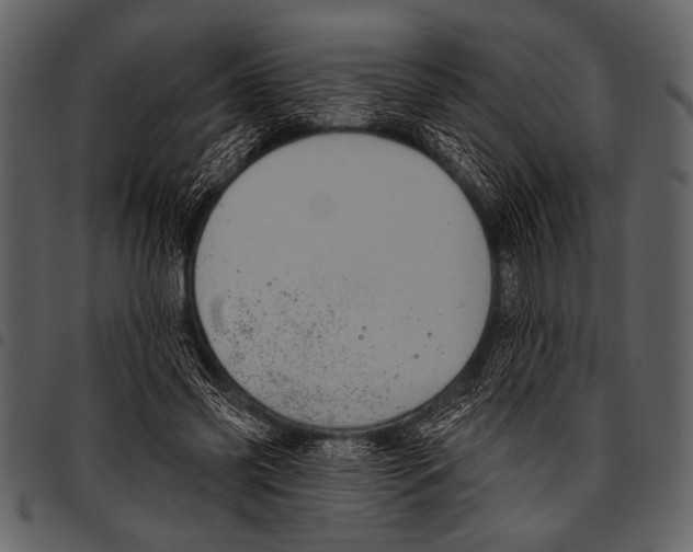 X0000097490541200803201533