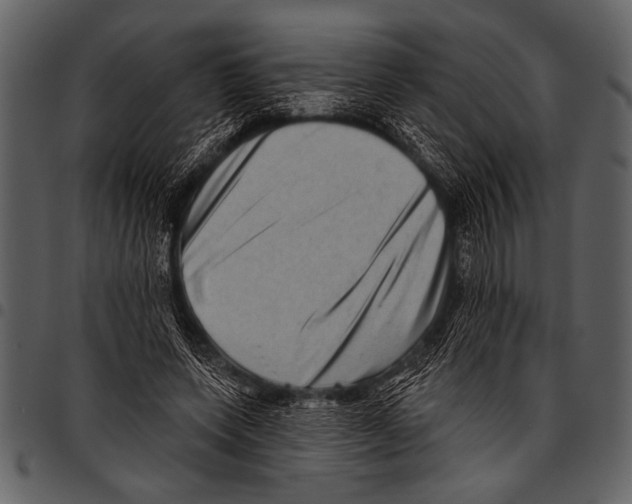 X0000097490543200803201533