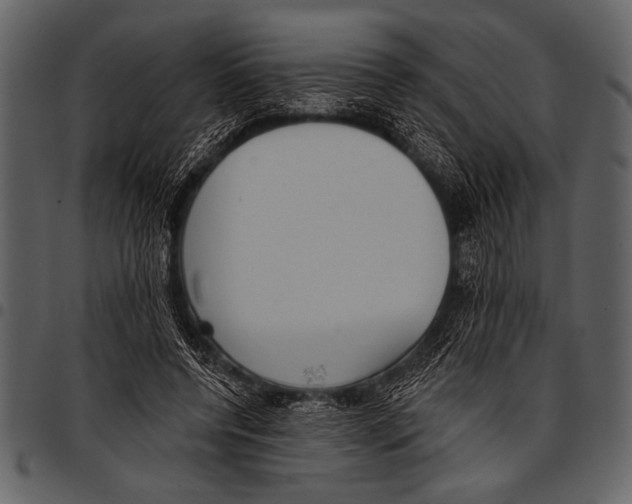 X0000097490544200803201533