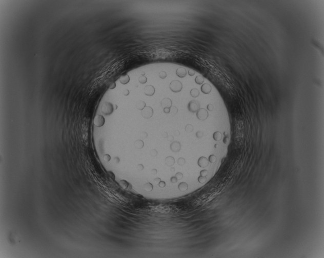 X0000097490545200803201533