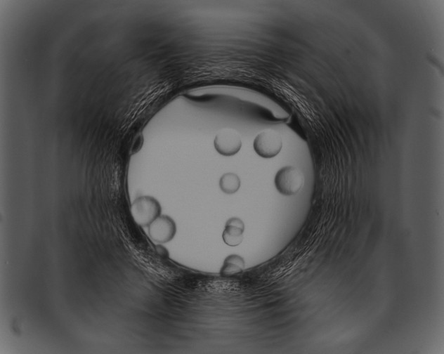 X0000097490546200803201533