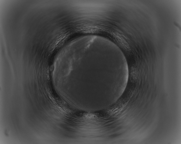 X0000097490547200803201533