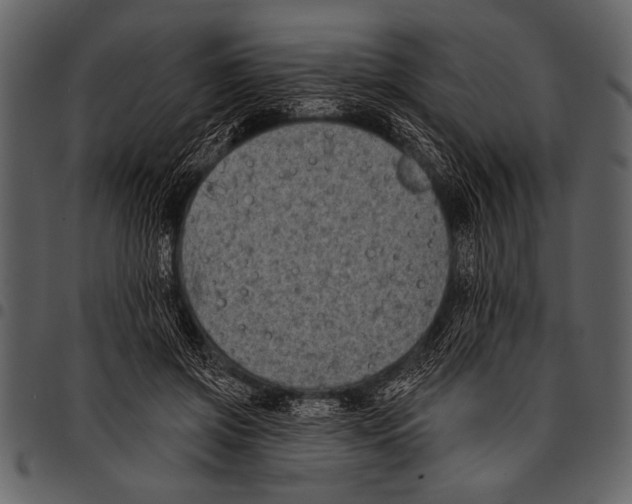 X0000097490549200803201533