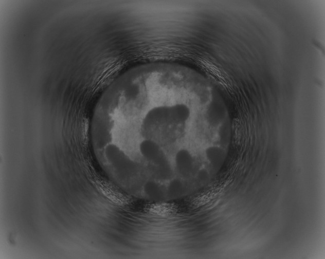 X0000097490550200803201533