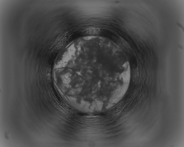 X0000097490553200803201533