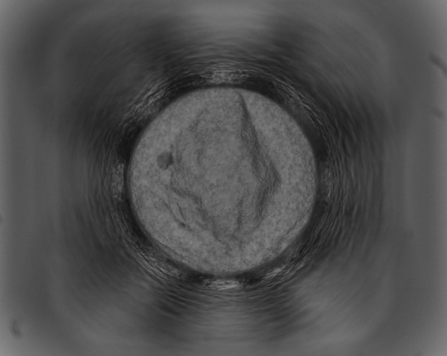 X0000097490554200803201533