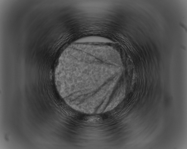 X0000097490555200803201533