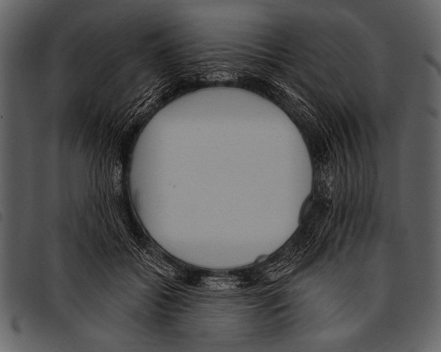 X0000097490556200803201533