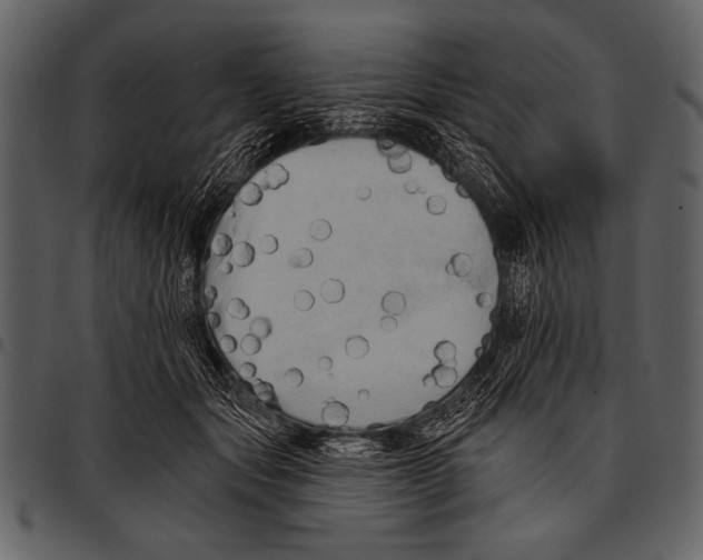 X0000097490557200803201533