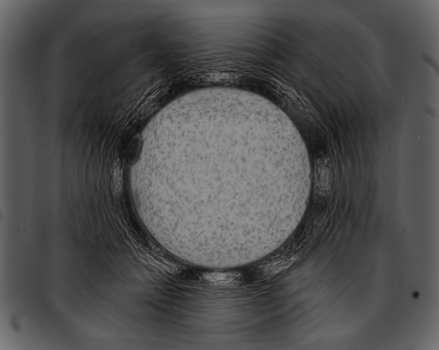 X0000097490558200803201533