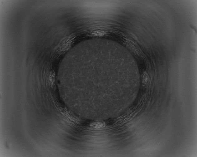 X0000097490559200803201533