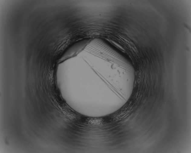 X0000097490560200803201533