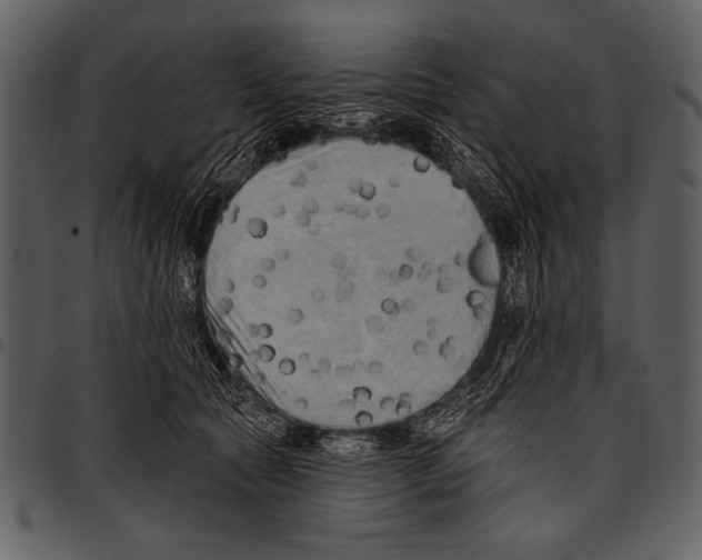 X0000097490561200803201533