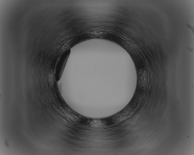 X0000097490562200803201533