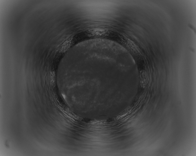 X0000097490563200803201533