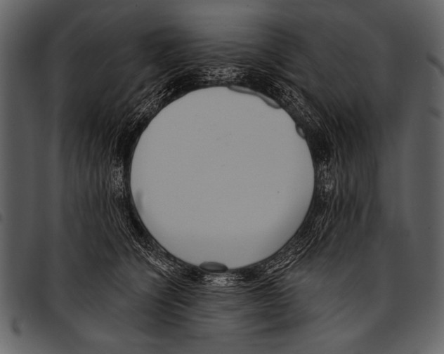 X0000097490564200803201533