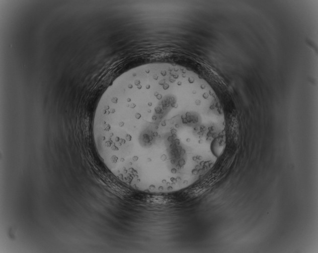 X0000097490565200803201533