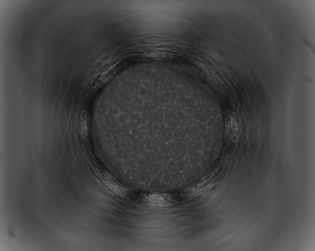 X0000097490566200803201533