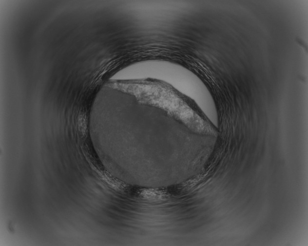 X0000097490568200803201533