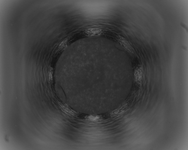 X0000097490570200803201533