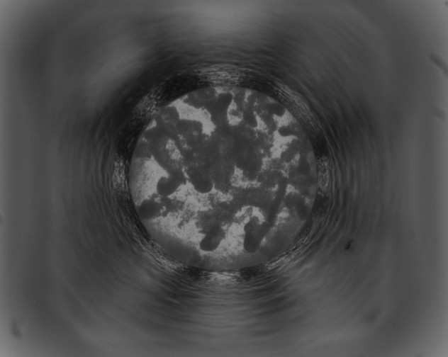 X0000097490573200803201533