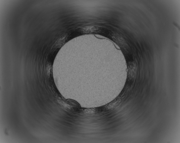 X0000097490574200803201533