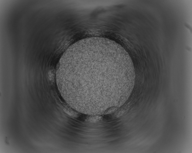 X0000097490576200803201533