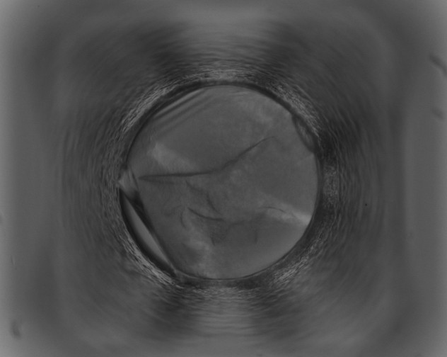 X0000097490577200803201533