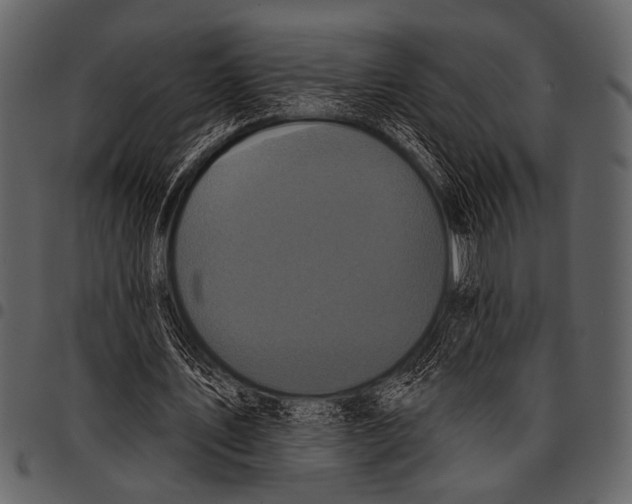 X0000097490579200803201533