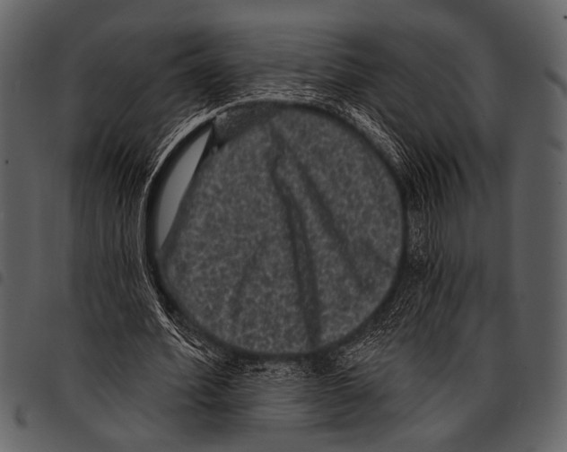 X0000097490580200803201533