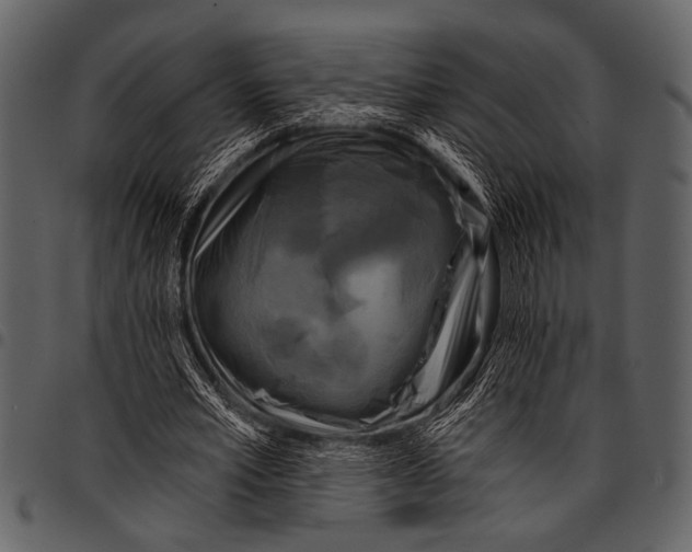 X0000097490581200803201533