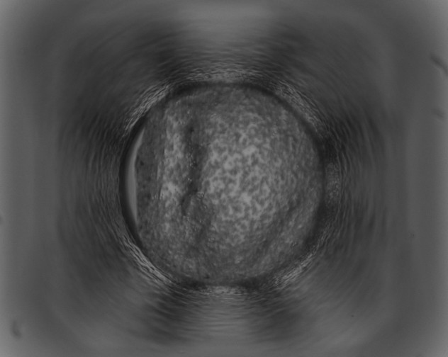 X0000097490585200803201533