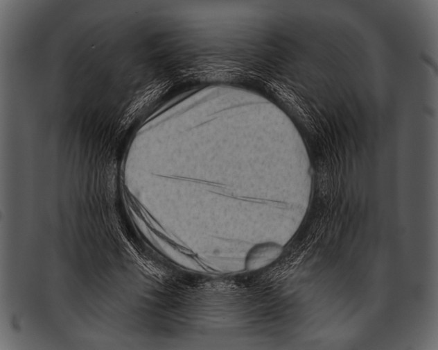 X0000097490586200803201533