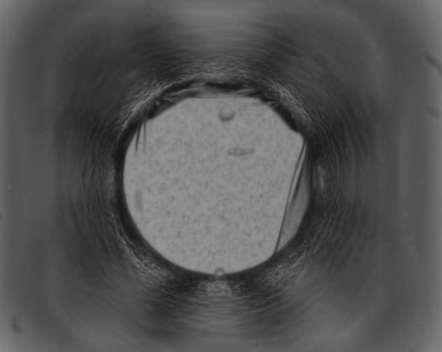 X0000097490588200803201532